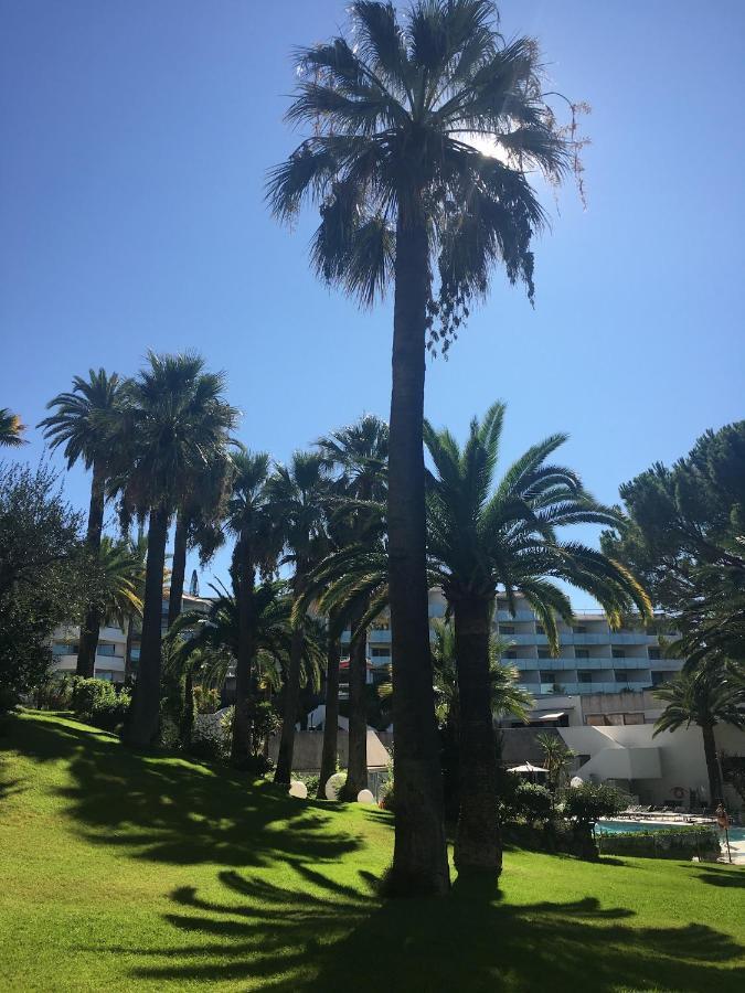 Appartement Très beau T2 dans parc montfleury ,proche centre ,au calme 44 bd Montfleury à Cannes Extérieur photo