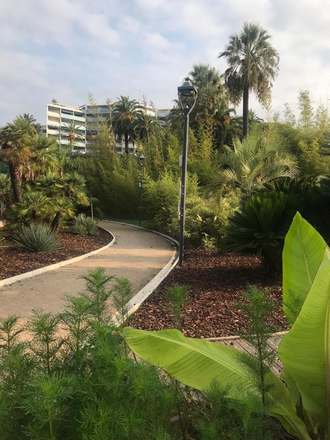 Appartement Très beau T2 dans parc montfleury ,proche centre ,au calme 44 bd Montfleury à Cannes Extérieur photo